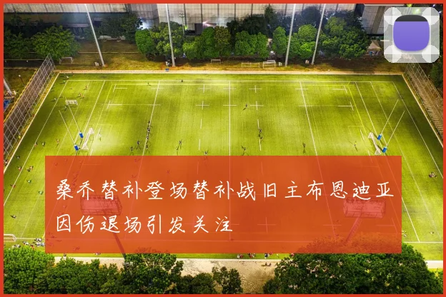 桑乔替补登场替补战旧主布恩迪亚因伤退场引发关注