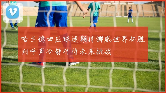 哈兰德回应球迷期待挪威世界杯胜利呼声冷静对待未来挑战
