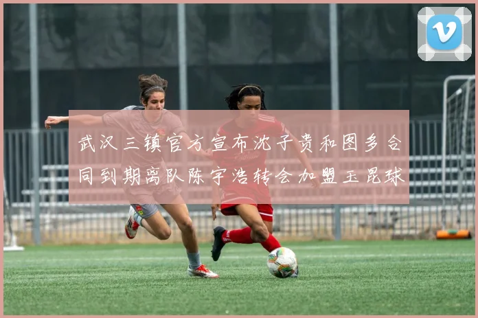 武汉三镇官方宣布沈子贵和图多合同到期离队陈宇浩转会加盟玉昆球队