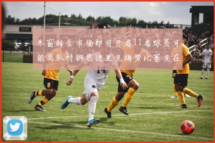 冬窗转会市场即将开启11名球员可能离队特狮恩德里克梅努比塞克在列